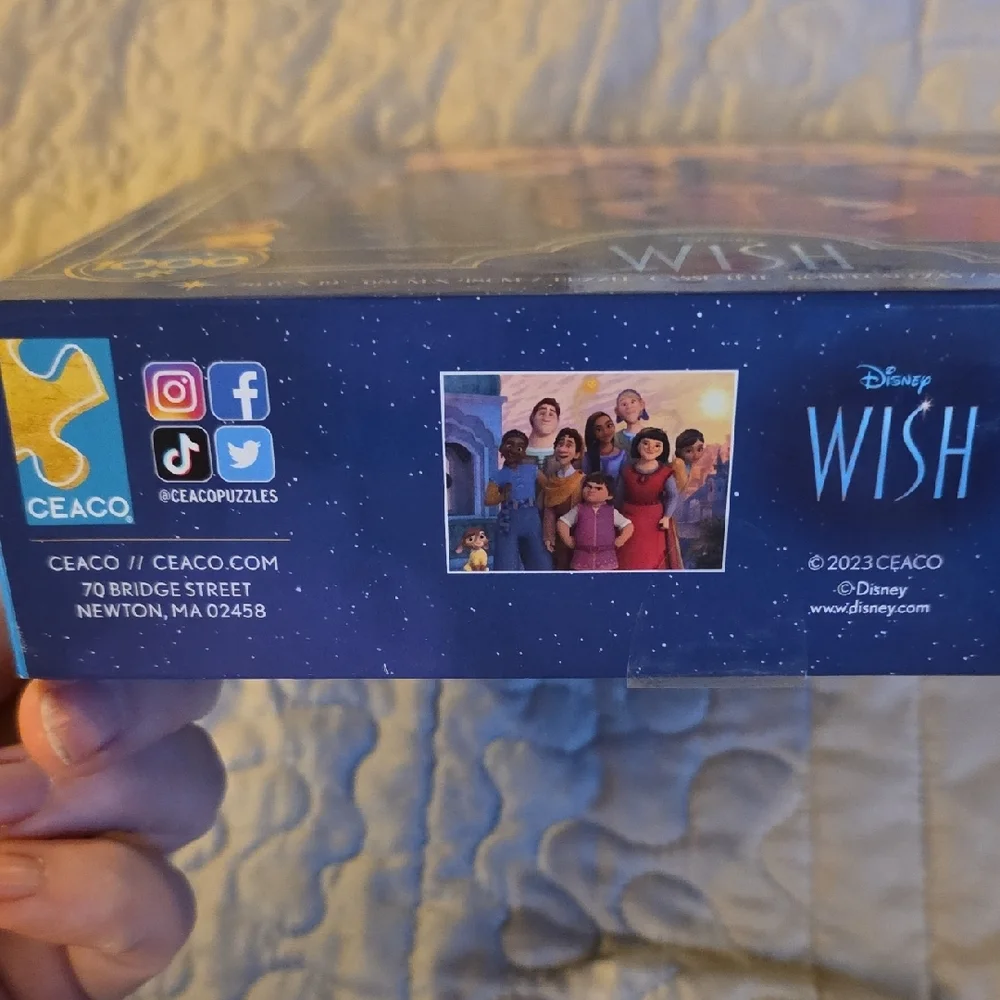 1000 Piece Disney Wish Jigsaw Puzzle